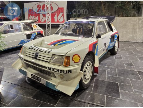 287 FPF 75, Peugeot 205