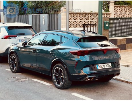 5000 NDL, Cupra Formentor