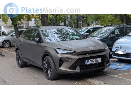 B 182 SAP, Cupra Formentor