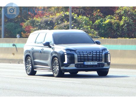 257오 9397, Hyundai Palisade