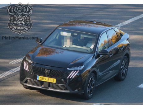 GRV-85-L, Peugeot 3008