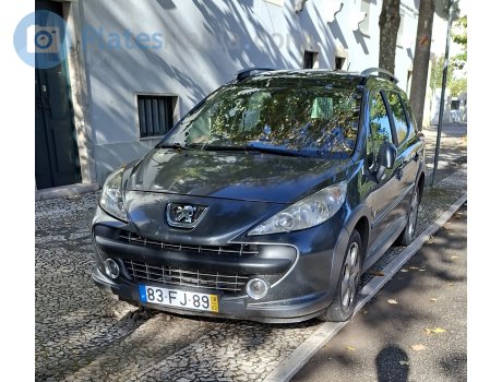 83-FJ-89, Peugeot 207