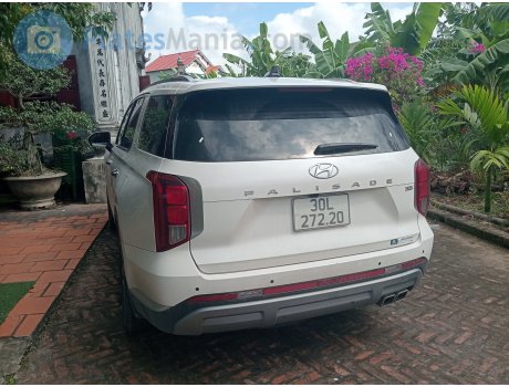 30L-272.20, Hyundai Palisade
