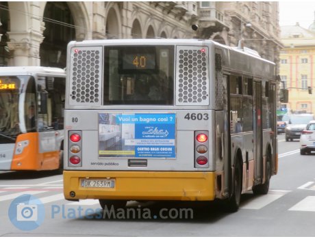 DK 263 RM, Menarini Vivacity