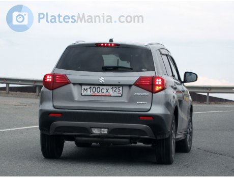 м100сх125, Suzuki Escudo