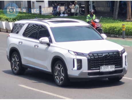 B 1205 ABW, Hyundai Palisade