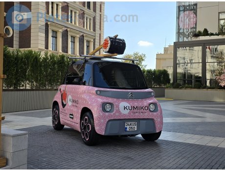 34 KUS 050, Citroёn Ami