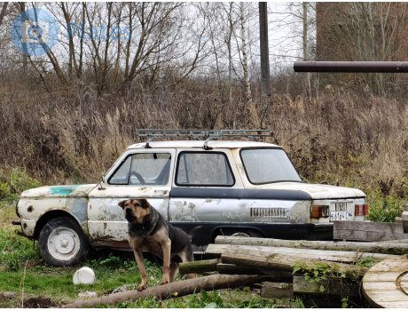 в 6164 СМ, ZAZ 966/968