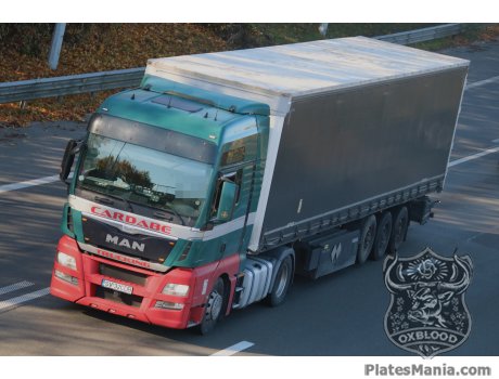 SV 32 CDB, MAN TGX