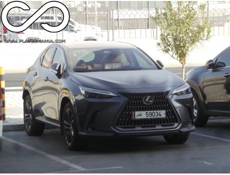 59034, Lexus NX