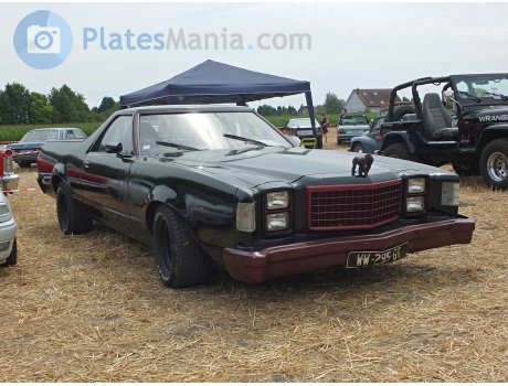 WW-295-GT, Ford Ranchero