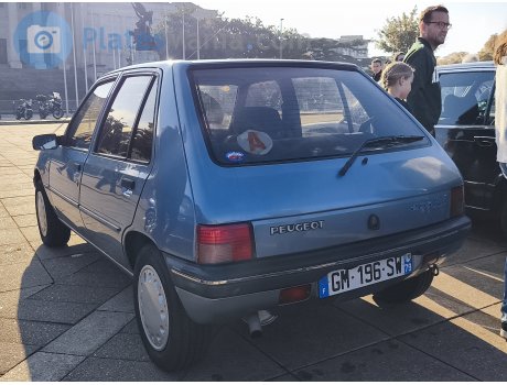 GM-196-SW, Peugeot 205