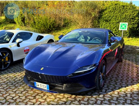 GW 313 GK, Ferrari Roma