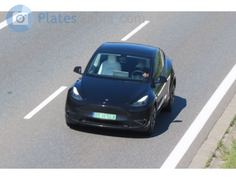 O1 TESLA, Tesla Model Y