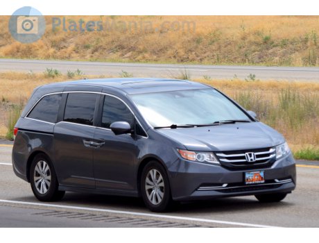 W53 7ZW, Honda Odyssey
