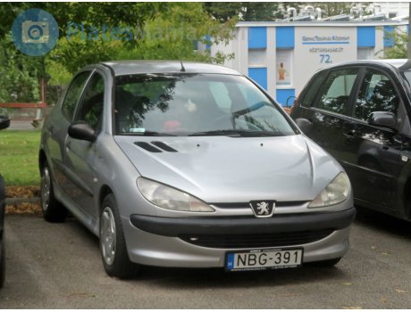 NBG-391, Peugeot 206