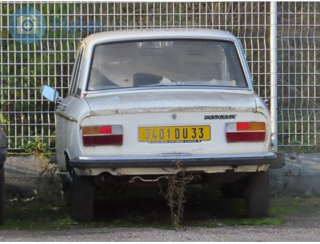 3401 DU 33, Peugeot 304