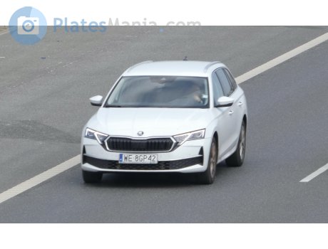 WE 8GP42, Skoda Octavia