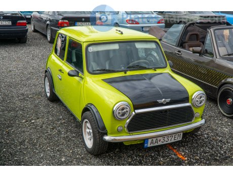 AA 337EM, Rover Mini