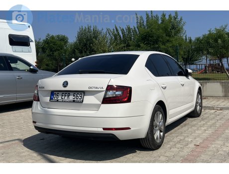 06 EFR 569, Skoda Octavia