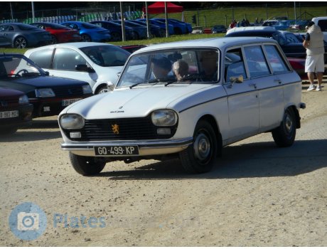 GQ-499-KP, Peugeot 204