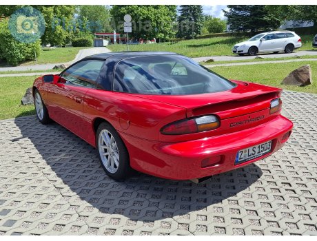 Z LS 1503, Chevrolet Camaro