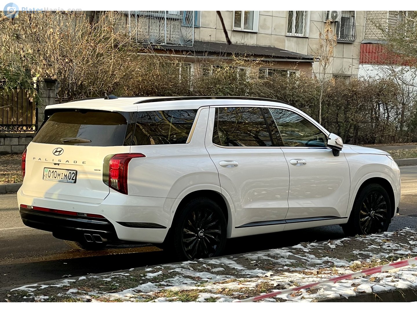 010 MIM 02, Hyundai Palisade 