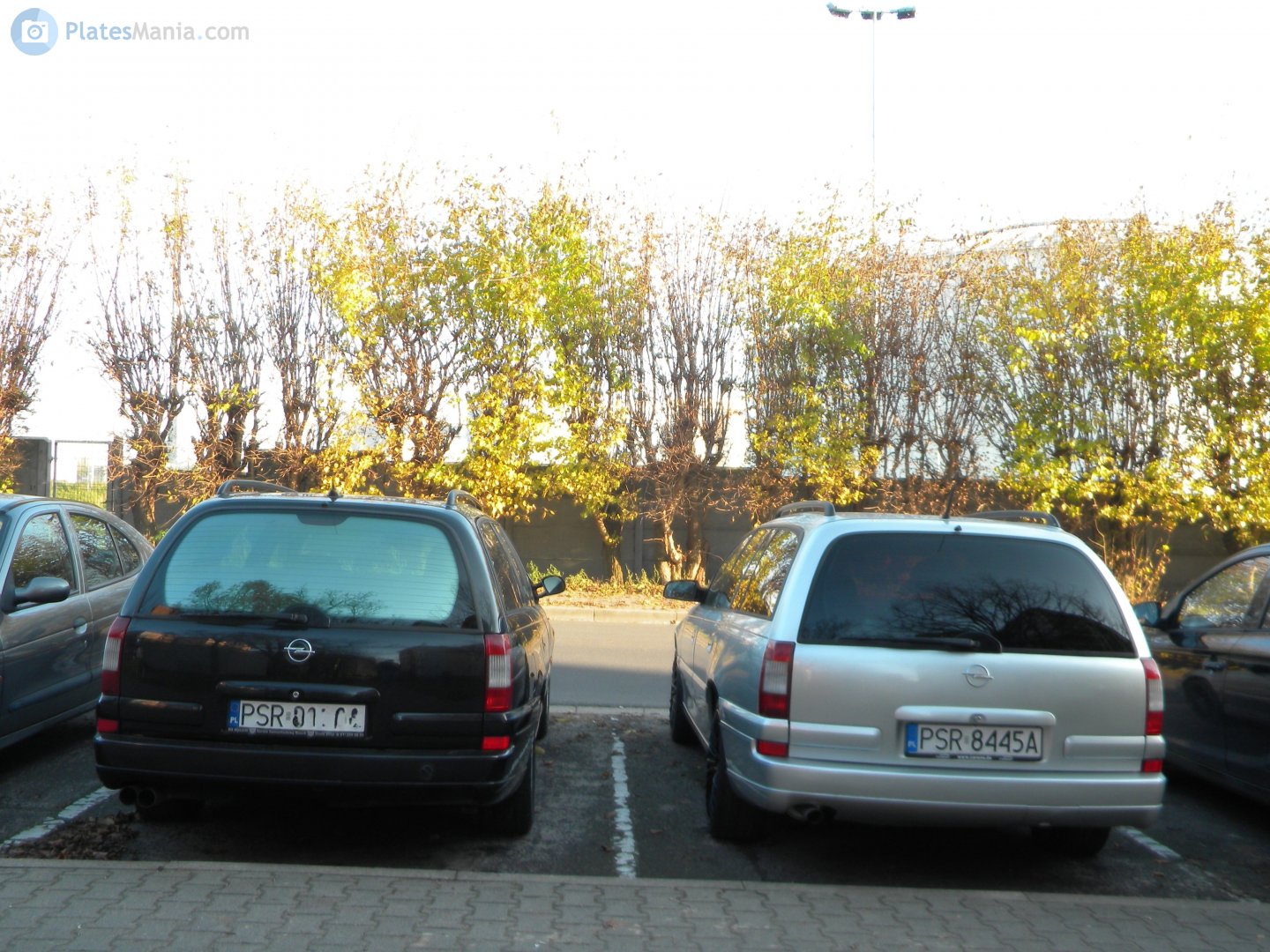 PSR 8445A, Opel Omega 2nd gen Caravan (B; V94), facelift, 1999–2003