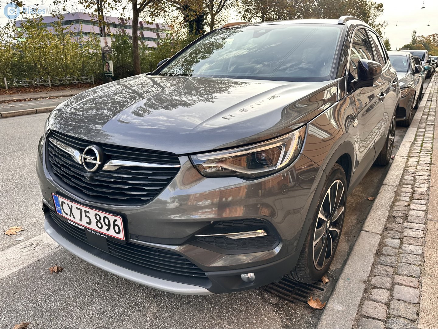 CX 75896, Opel Grandland 1st gen X (A18; P1UO), 2017–2021