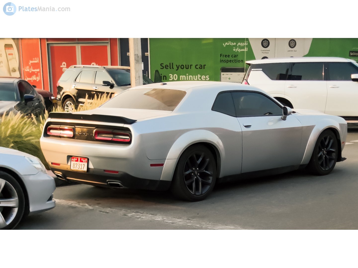 8 87317, Dodge Challenger 3rd gen (LA/LC), facelift, 2014–2023