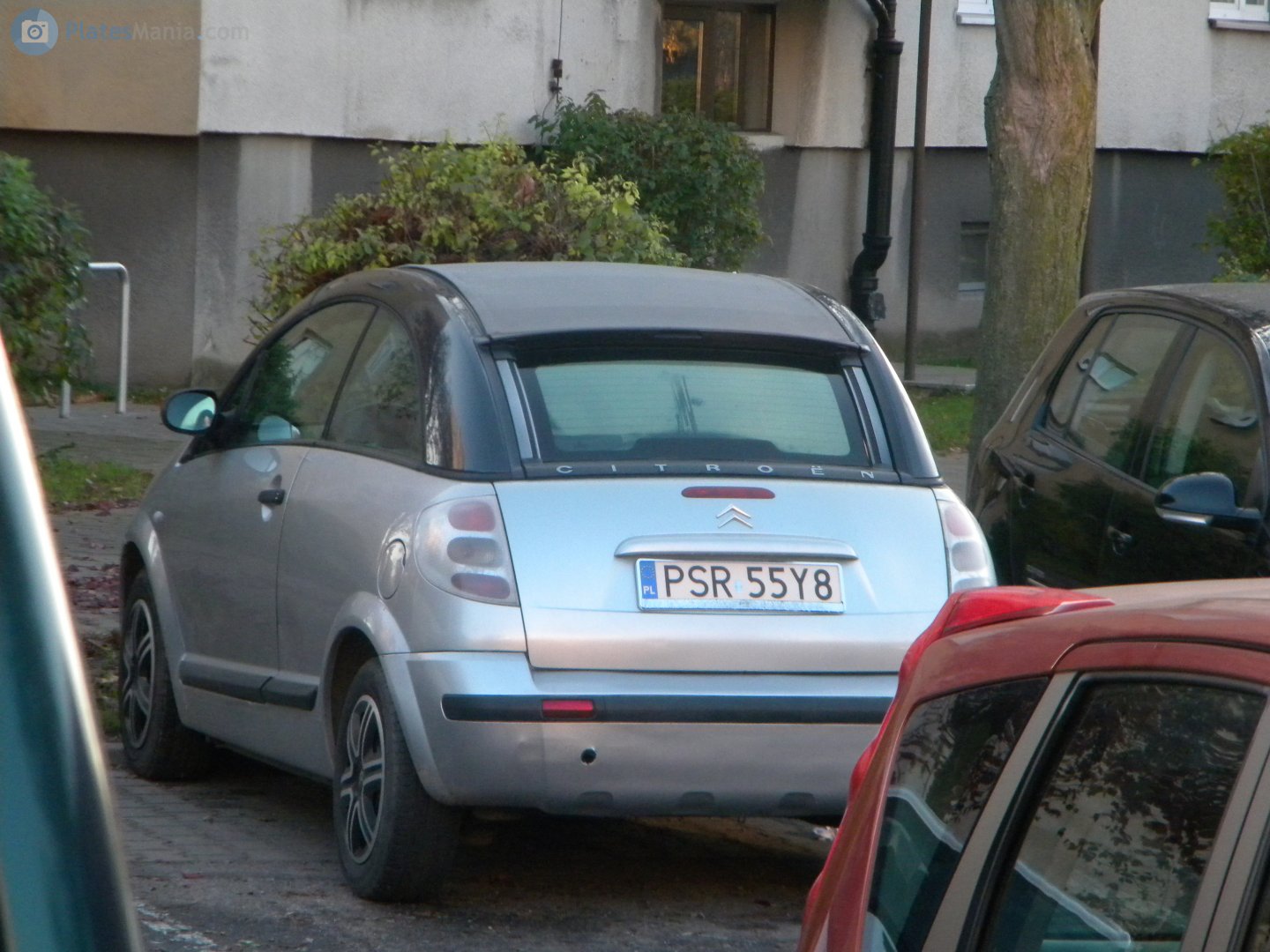 PSR 55Y8, Citroёn C3 Pluriel 1st gen (HB), 2003–2010