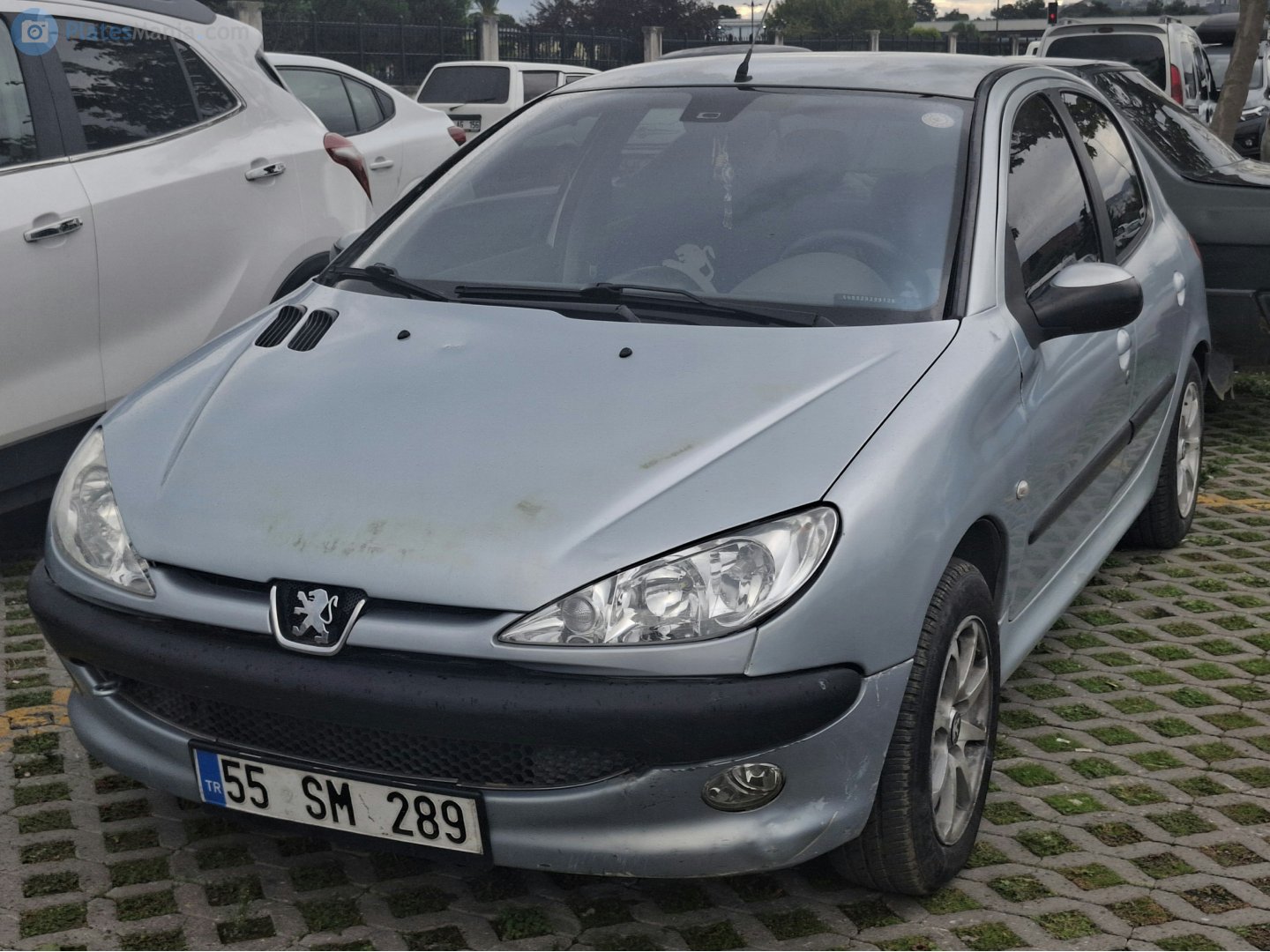 55 SM 289, Peugeot 206 1st gen 5-door Hatch (T11), 1998–2009 (–2012 for IR-market)