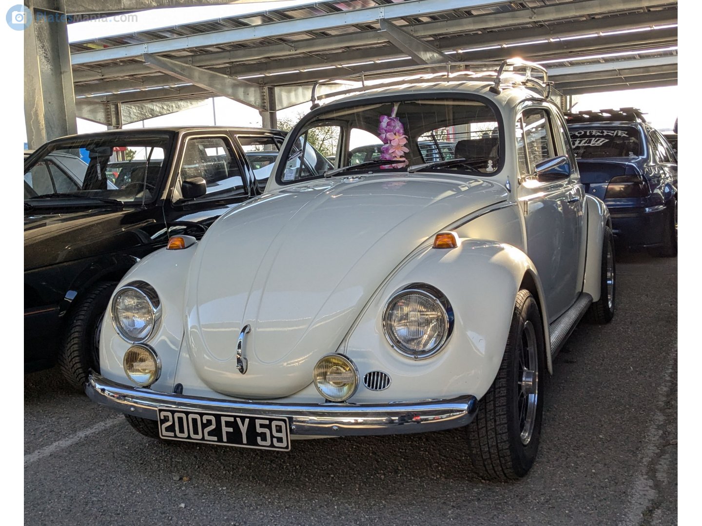 2002 FY 59, Volkswagen Beetle 1st gen Sedan (Type 1), 1938­–2003