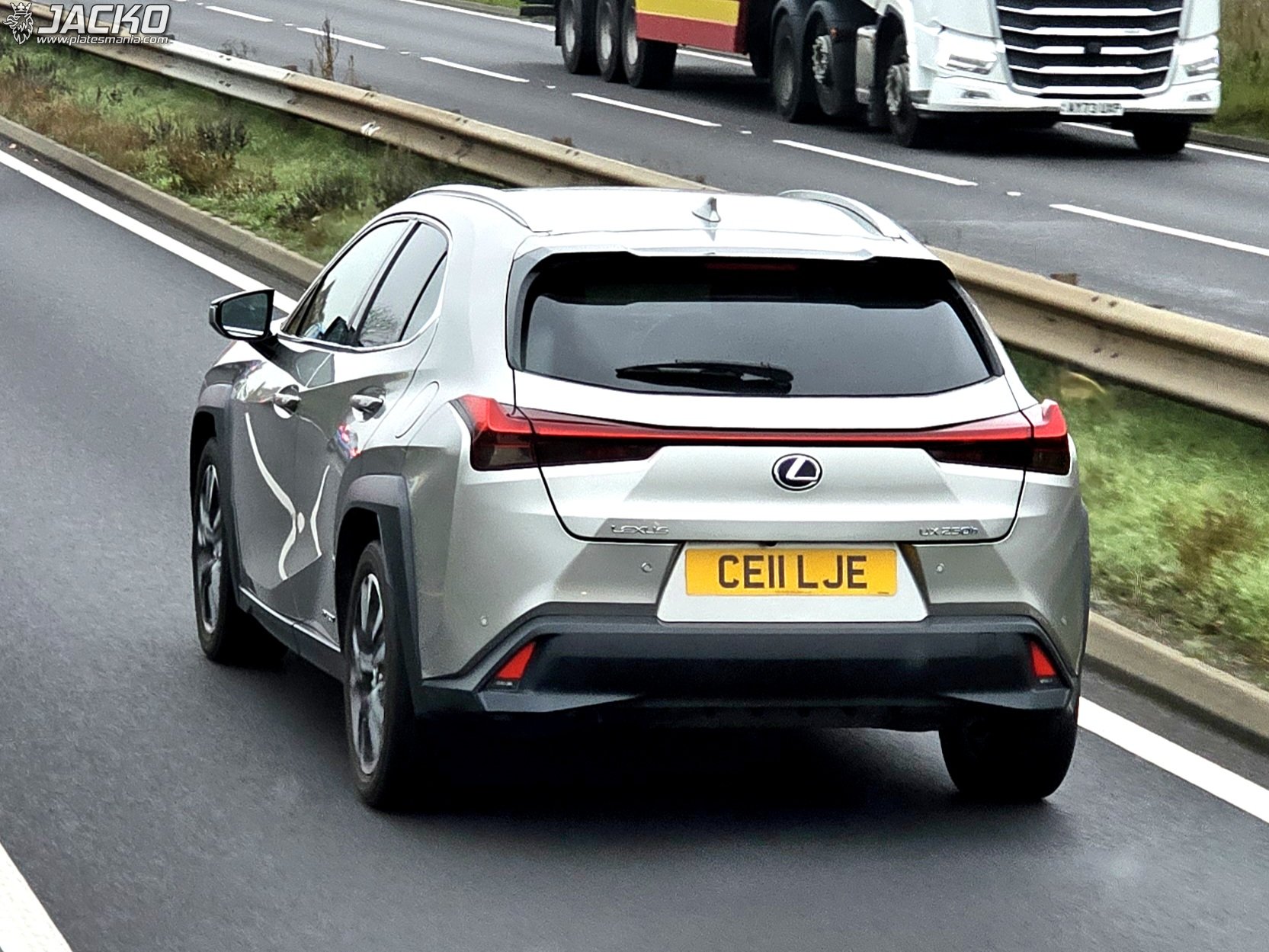 CE11LJE, Lexus UX 1st gen (ZA10), 2018–