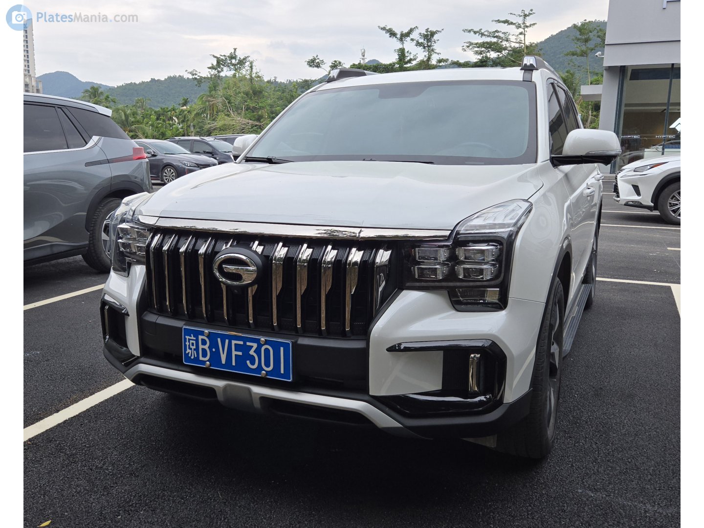 琼B·VF301, Trumpchi GS8 1st gen S, 2020–