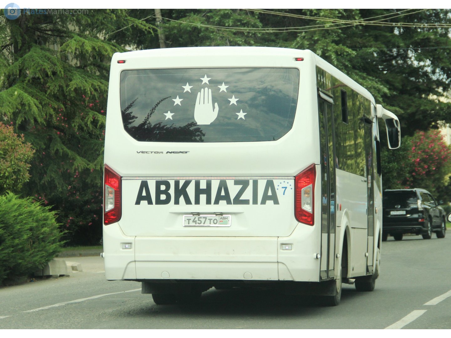 т 457 то, PAZ 3203/3204 3204 Vector Next, 2016–