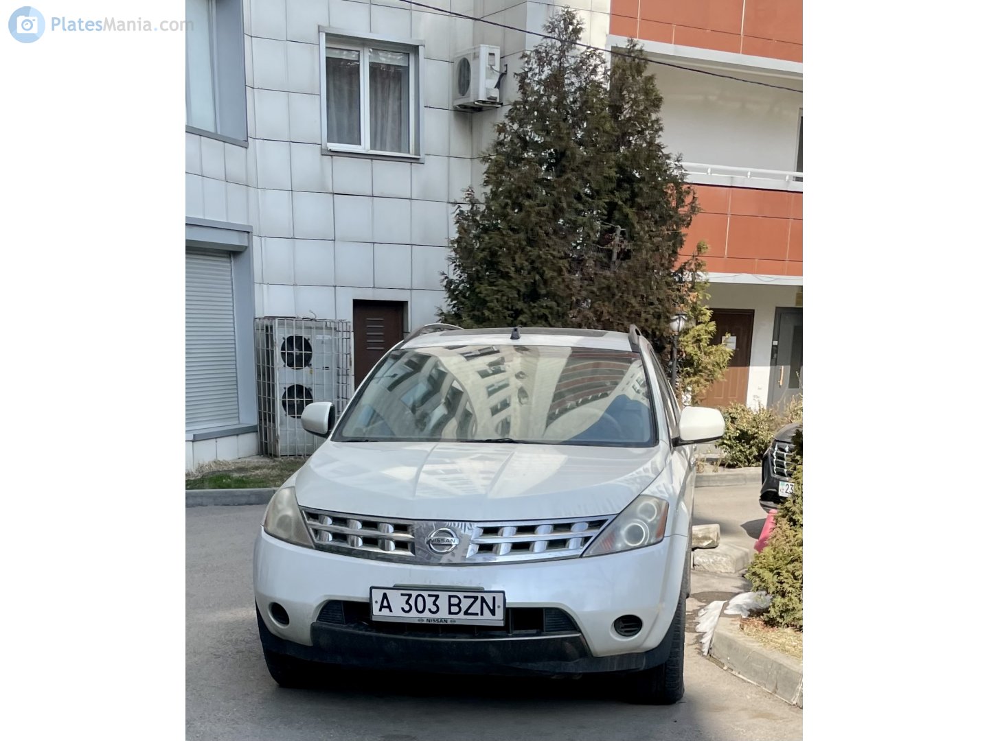 A 303 BZN, Nissan Murano 1st gen (Z50), 2002–2007