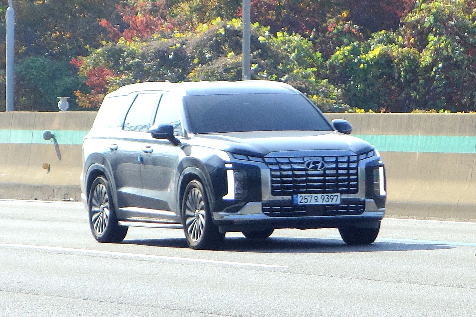257오 9397, Hyundai Palisade 