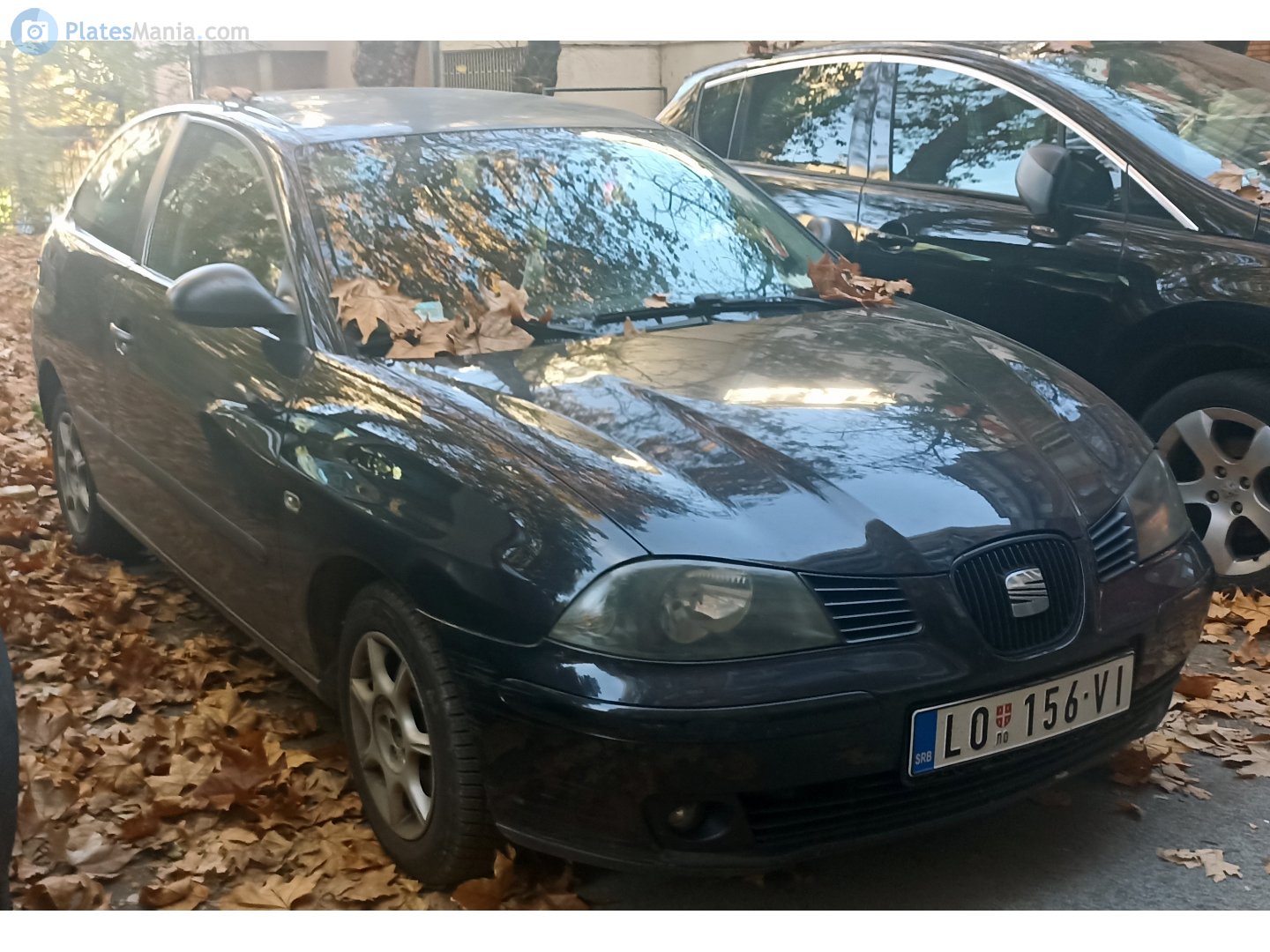 LO 156-VI, SEAT Ibiza 3rd gen 3-door Hatch (6L), 2002–2008