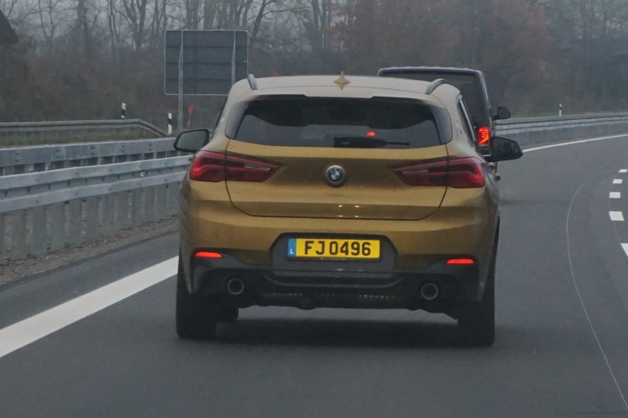 FJ 0496, BMW X2 1st gen (F39), 2018–2023