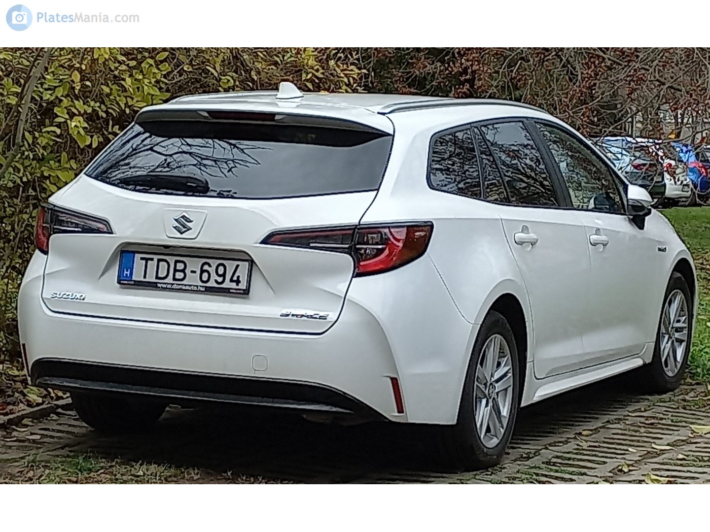 TDB-694, Suzuki Swace 1st gen (E210; EU-market), 2020–