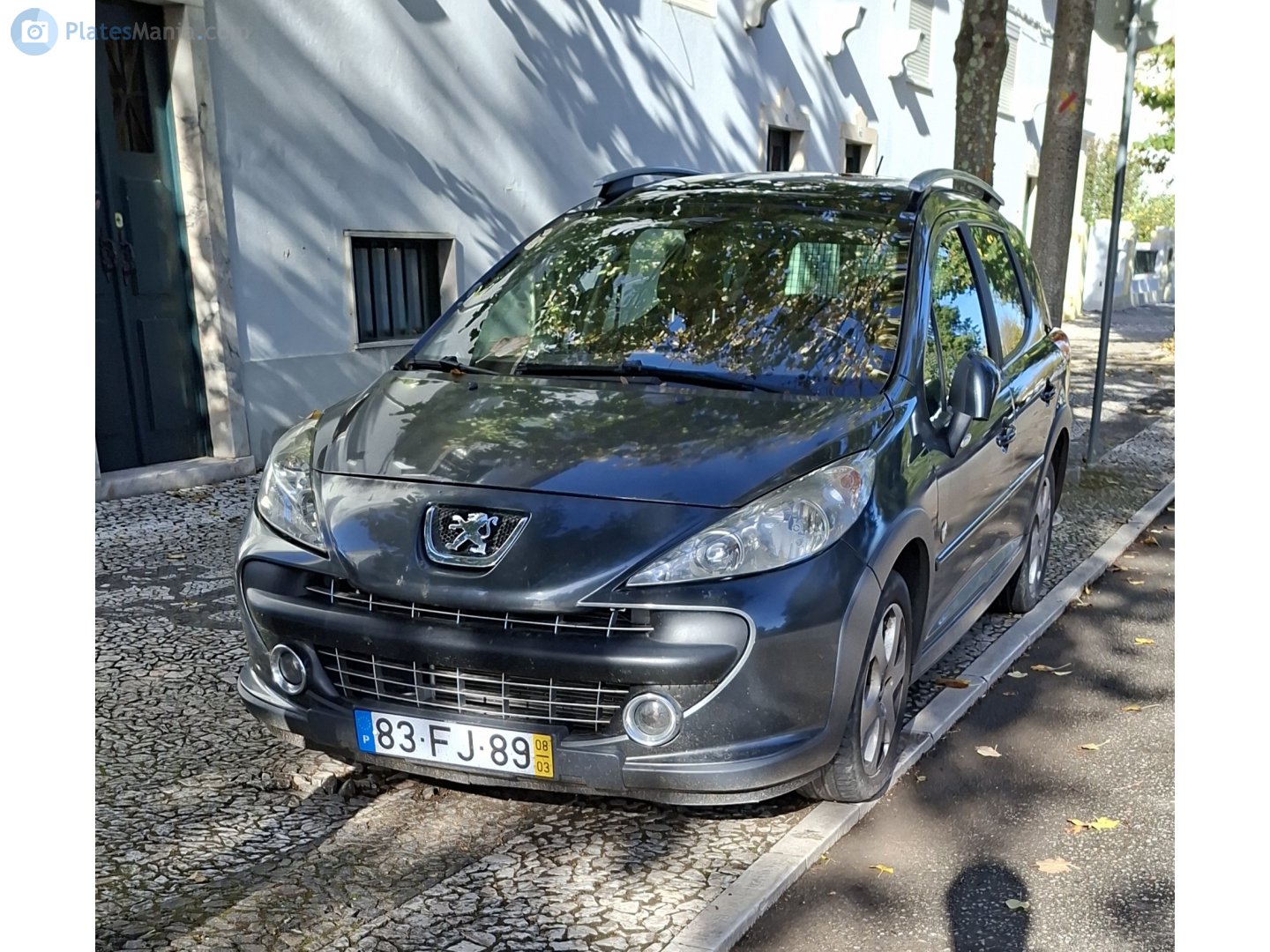 83-FJ-89, Peugeot 207 SW Wagon (A72), 2007–2013