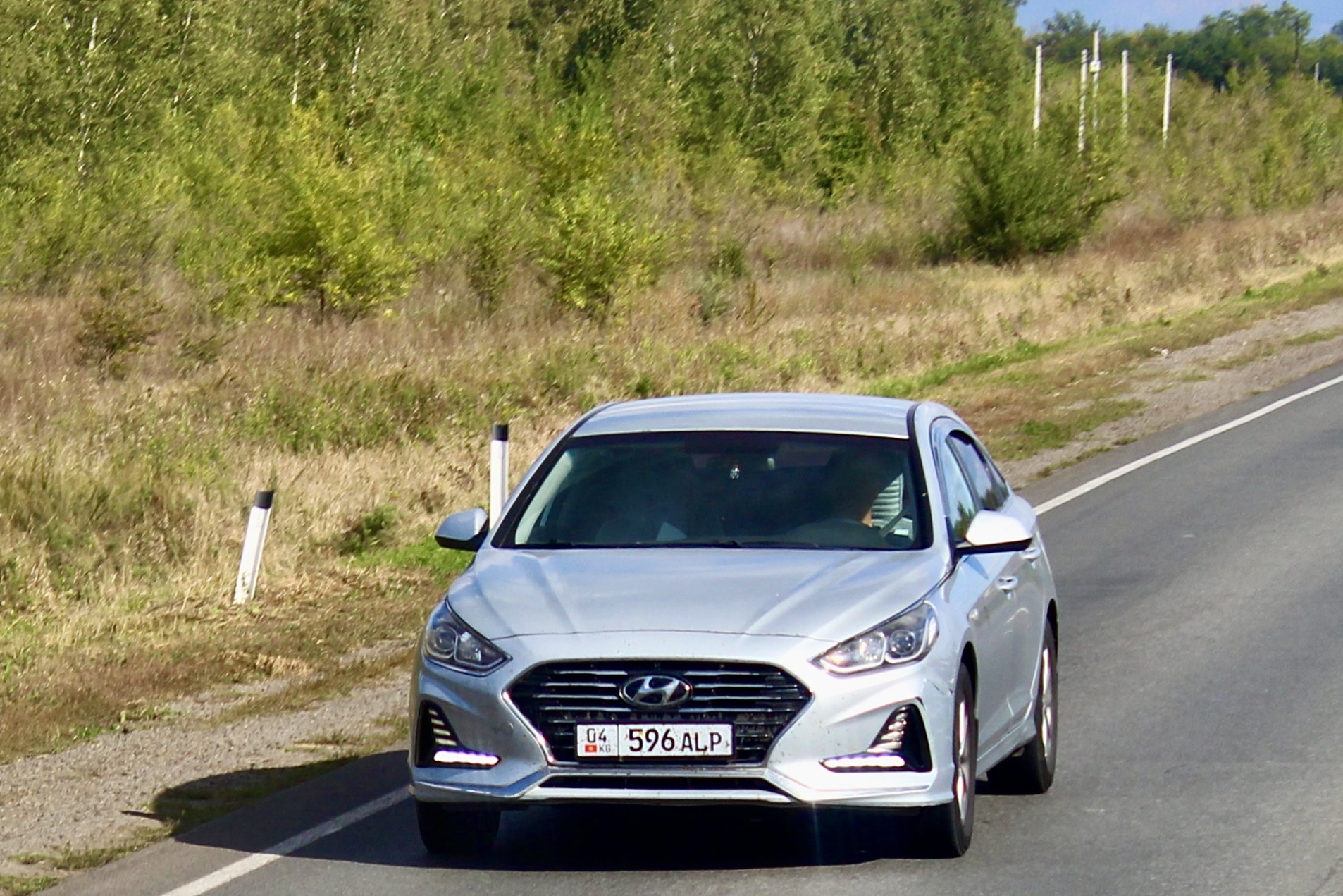 04 596 ALP, Hyundai Sonata 7th gen (LF), facelift, 2017–2019