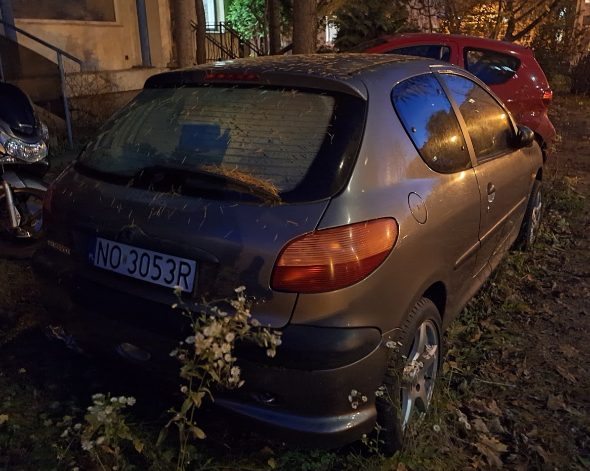 NO 3053R, Peugeot 206 1st gen 3-door Hatch (T10), 1998–2009