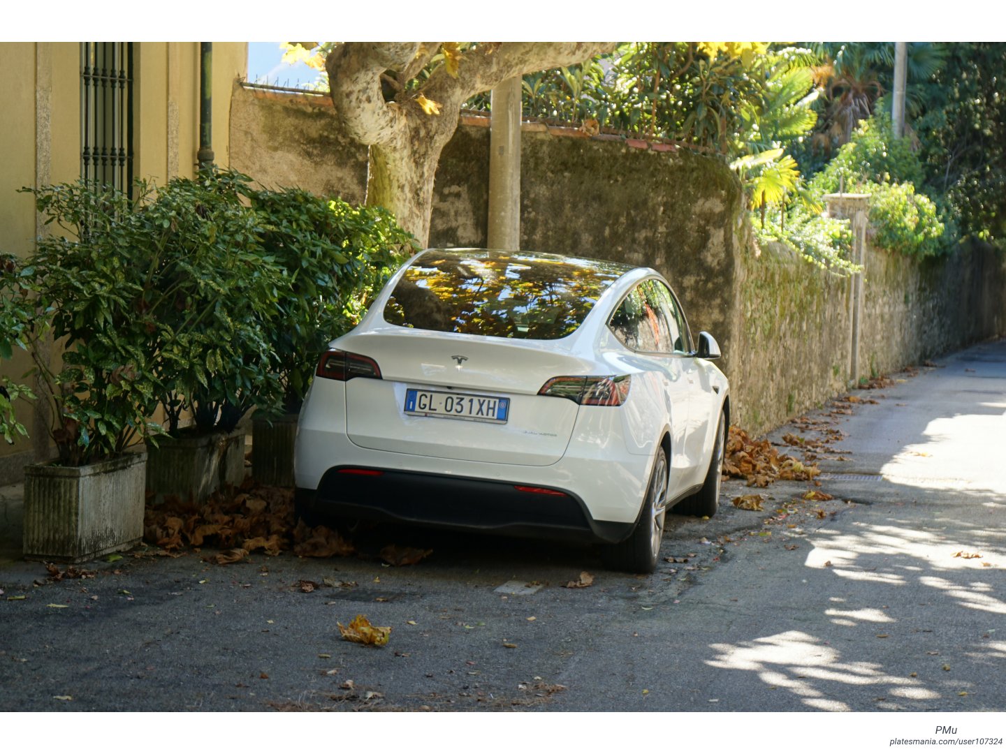 GL 031 XH, Tesla Model Y 1st gen (5YJY), 2020–2025