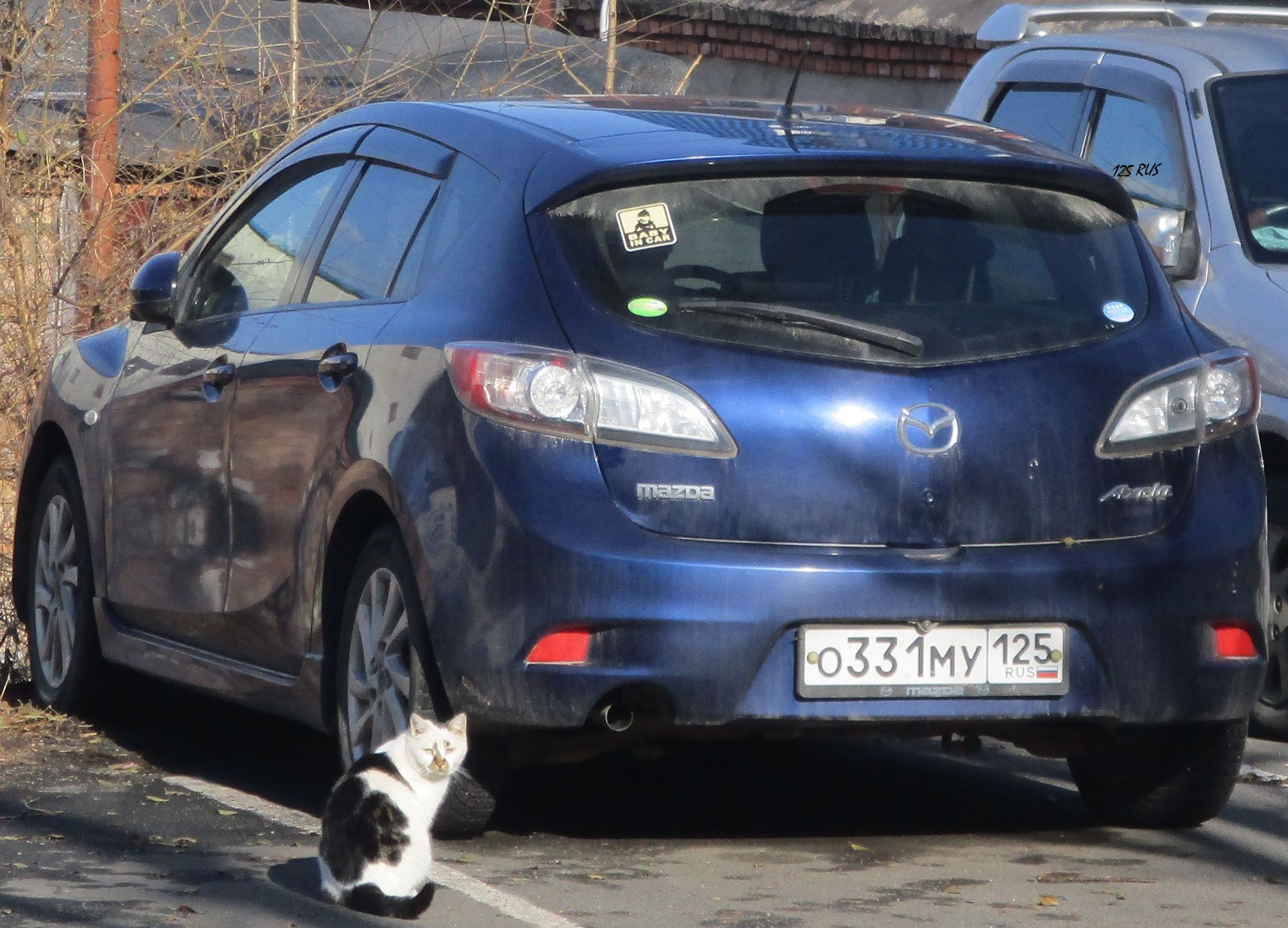 о 331 му 125, Mazda Axela 2nd gen Hatch (BL), 2009–2013