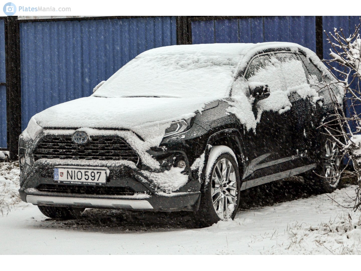 NIO 597, Toyota RAV4 5th gen (XA50), 2018–