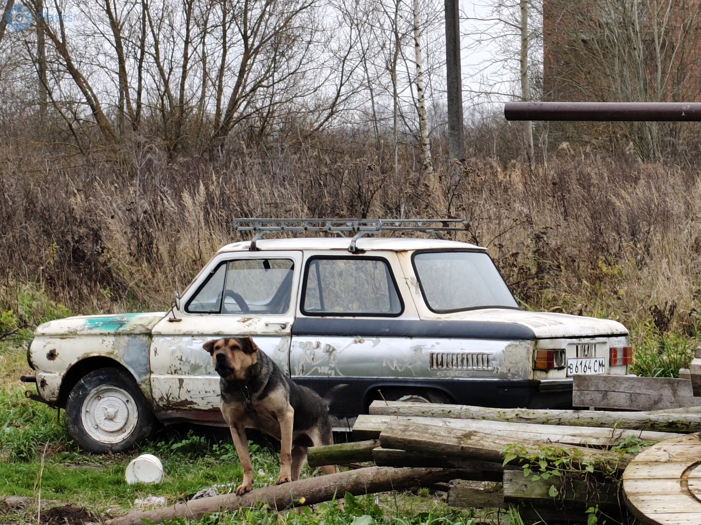 в 6164 СМ, ZAZ 966/968 968М, 1979–1994