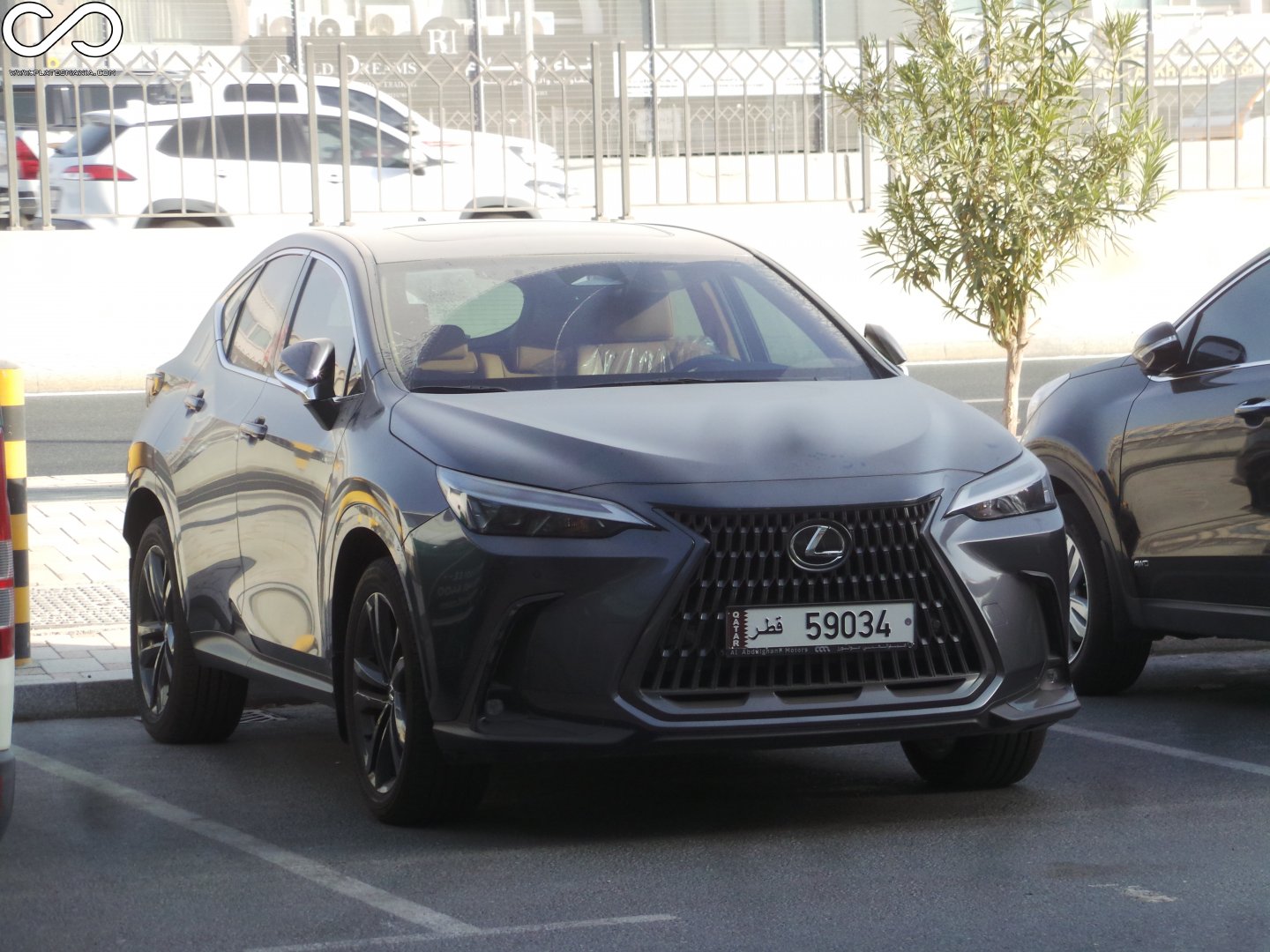 59034, Lexus NX 2nd gen (AZ20), 2021–