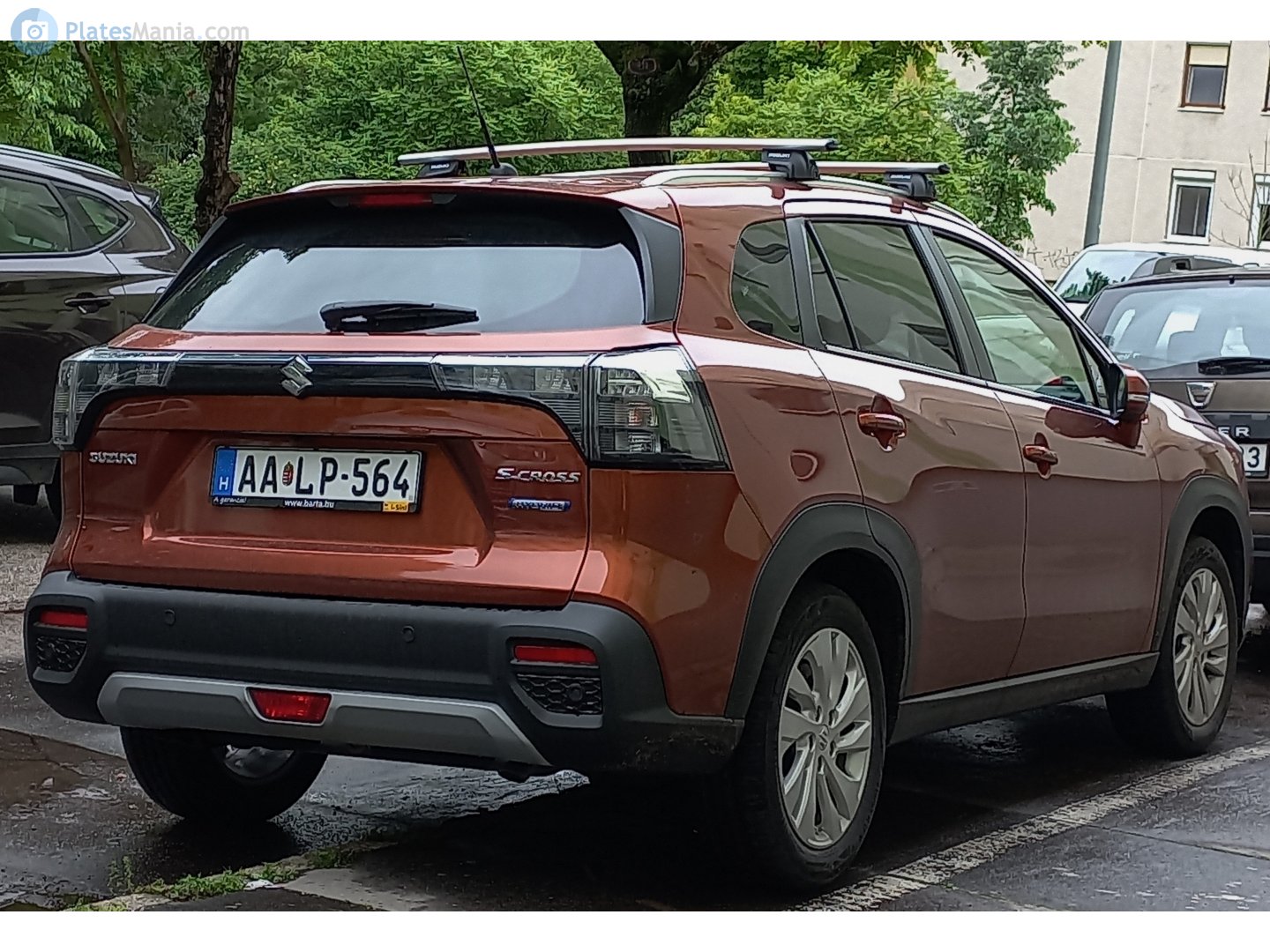 AA LP-564, Suzuki SX4/S-Cross 3rd gen S-Cross, 2021–